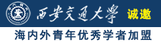 吊逼视频看诚邀海内外青年优秀学者加盟西安交通大学